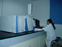 宁波市科技园区伊威特产品服务与网络技术服务