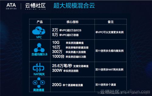 网络虚拟化技术 为“双11”打造高效能灵动网络的技术基石